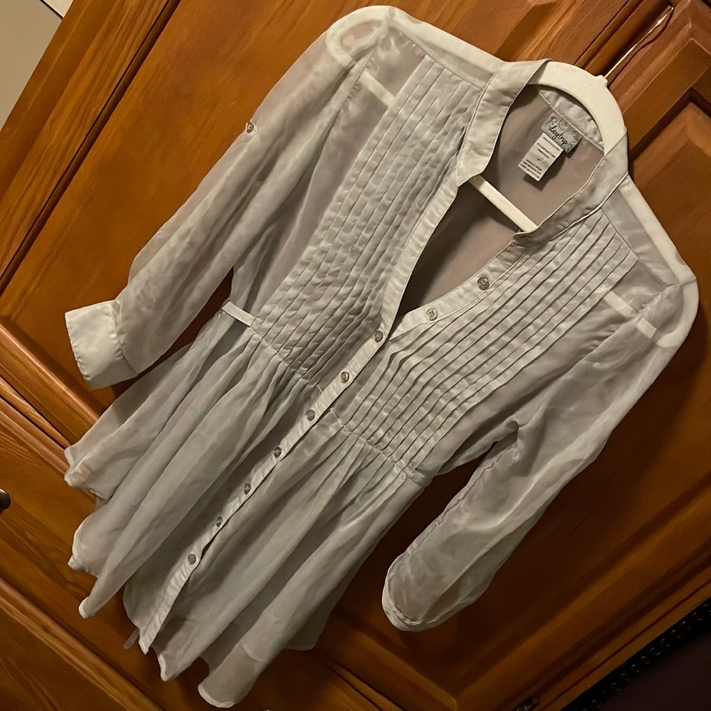 Daytripper sheer tunic top